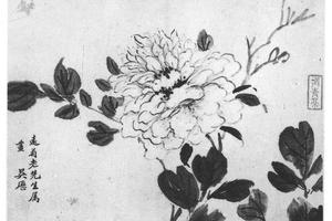 花竹禽鱼图十二开