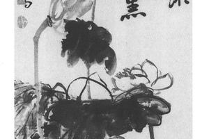 荷花图