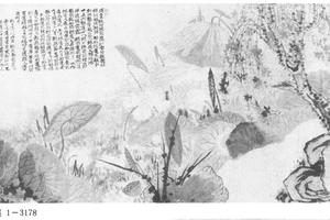 蒲塘秋影图页装