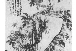 牡丹竹石图