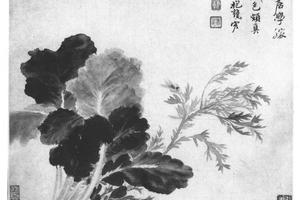 蔬果图页装