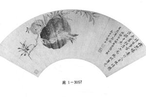 石榴图