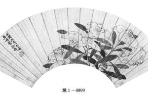 百合花图