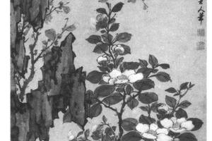 山茶腊梅图