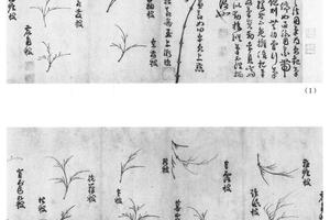 竹谱图