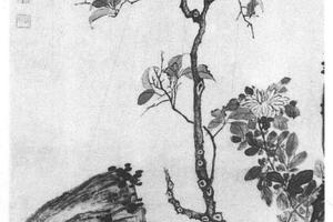 花鸟