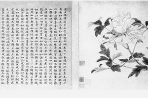 牡丹图