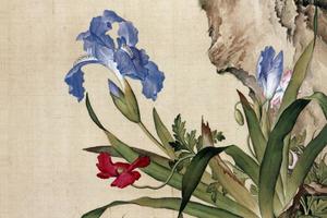 郎世宁花鸟05