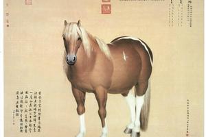 雪点雕
