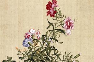 郎世宁花鸟07
