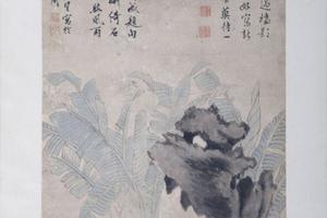 芭蕉