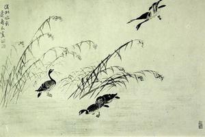 边寿民作品