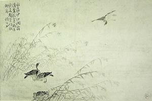边寿民作品