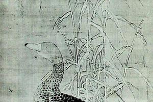 芦雁