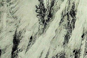 王云轩作品