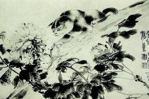 王云轩作品
