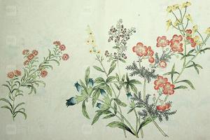 蒋廷锡作品