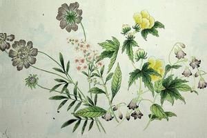 蒋廷锡作品