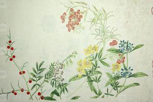 蒋廷锡作品