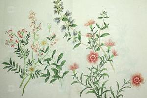 蒋廷锡作品