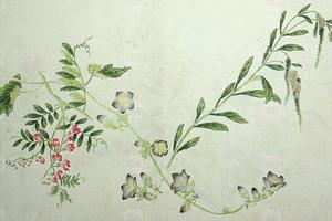 蒋廷锡作品