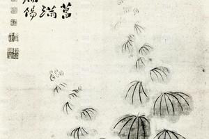 明大涤子花草