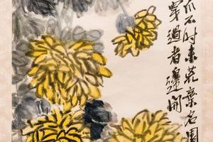 丛菊 