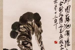 白菜胡萝卜
