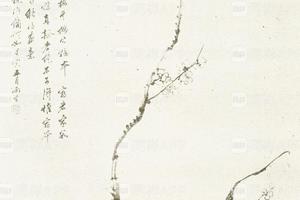 汤雨生梅花