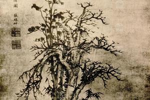 张南华新篁秃树图