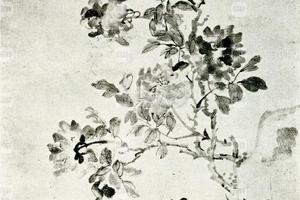 李复堂墨牡丹