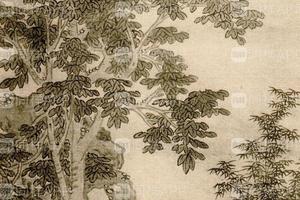 沈芥舟桐阴理琴美人