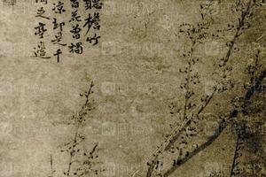 黄小松梅花