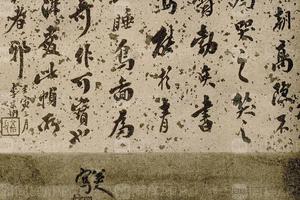 八大山人睡鸟图
