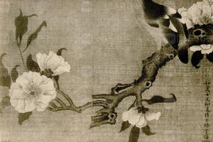 柳如是花鸟