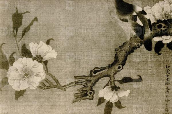 柳如是花鸟