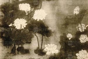 沈南苹花鸟