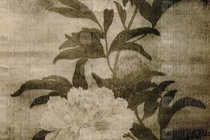 蒋南沙花王图