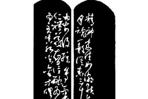 气血盈虚似月魂