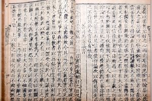 《答司马谏议书》