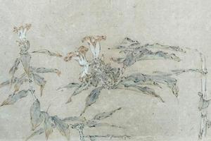 西双版纳写生