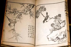 芥子园画传三集