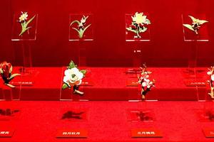十二花神