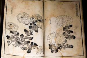 芥子园画传二集