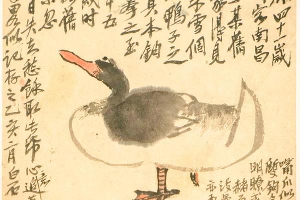 追摹八大山人小鸭图