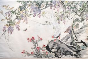 紫藤白鹇