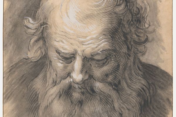 Study of the Head of a Bearded Man