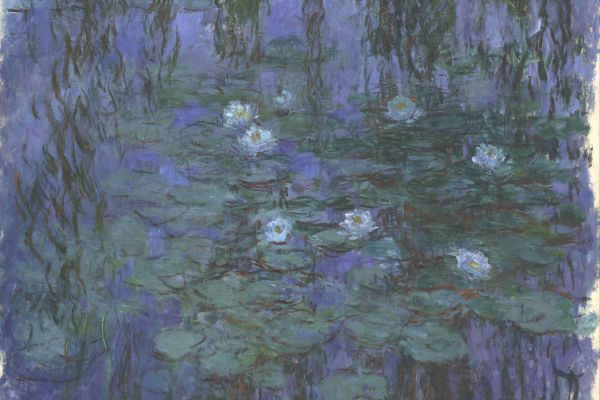 Blue Water Lilies 