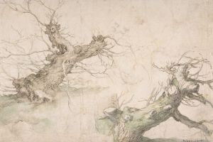 Studies of Two Pollard Willows