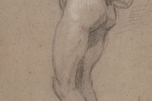 Standing Male Nude